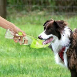Portable Leak-Proof Pet Water Dispenser Flip Cup (580ml) — Silicone + ABS, Travel Friendly