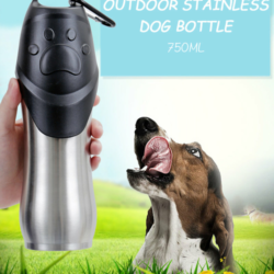 Portable Outdoor Pet Drinking Bottle (Stainless Steel)