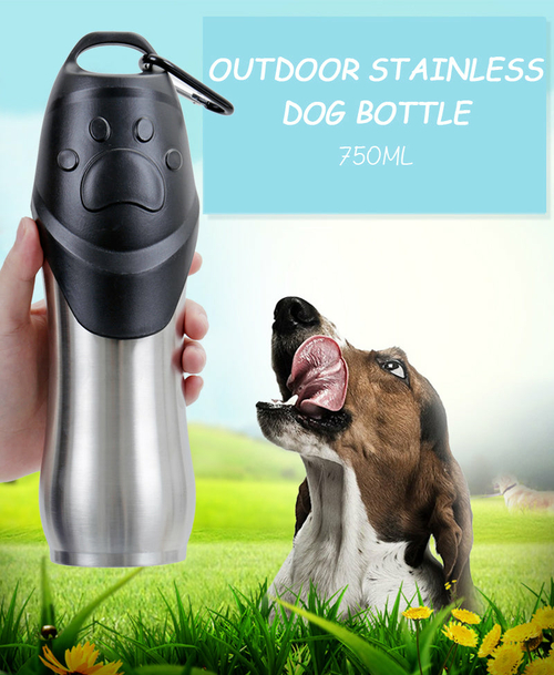 Portable Outdoor Pet Drinking Bottle (Stainless Steel)
