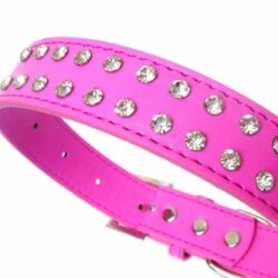 dog collar