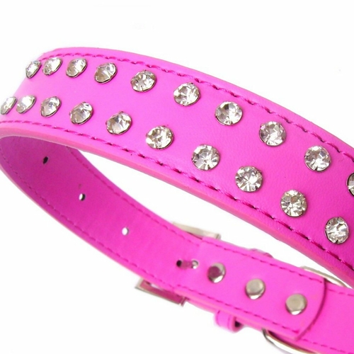 dog collar