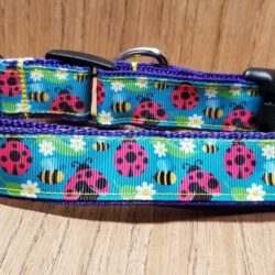 dog collar