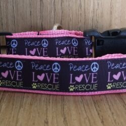 dog collar