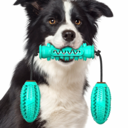 dog toothbrush