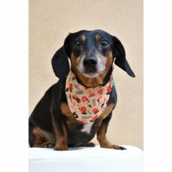 Firefighter Support Slip-On Reversible Dog Bandana — Handmade Canvas Pet Bandana (Collar Slide-On)