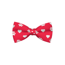 dog bow tie