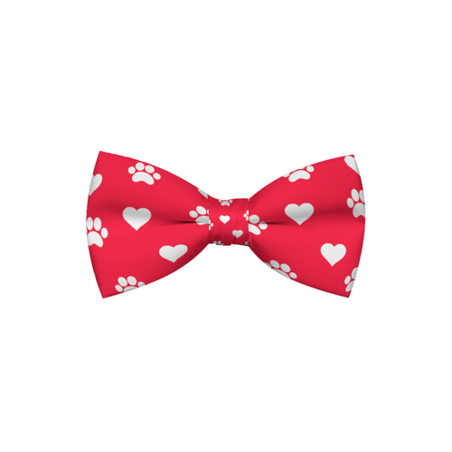 dog bow tie