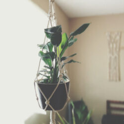 Handmade Macrame Plant Hanger (47") — 100% Cotton Rope with Stainless Steel Ring