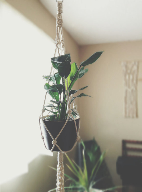Handmade Macrame Plant Hanger (47") &mdash; 100% Cotton Rope with Stainless Steel Ring