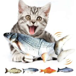 cat toy