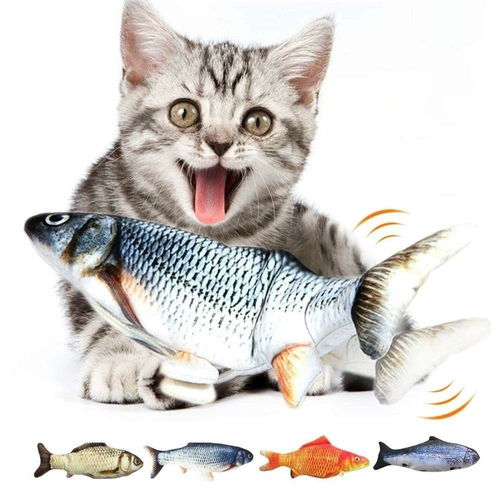 cat toy