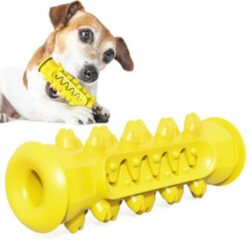 dog chew toy